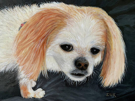 Dog With Soulful Eyes by Karen Zuk Rosenblatt Dog With Soulful Eyes by Karen Zuk Rosenblatt