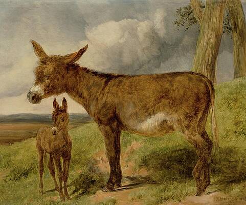 Wall Art - Painting - Donkeys by John Frederick Herring Snr.
