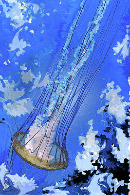 Downward Dive by Simone Hester Downward Dive by Simone Hester