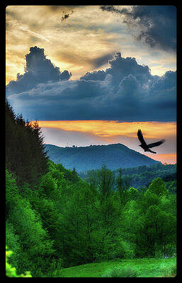  Photograph - Dream by Sorin Markus