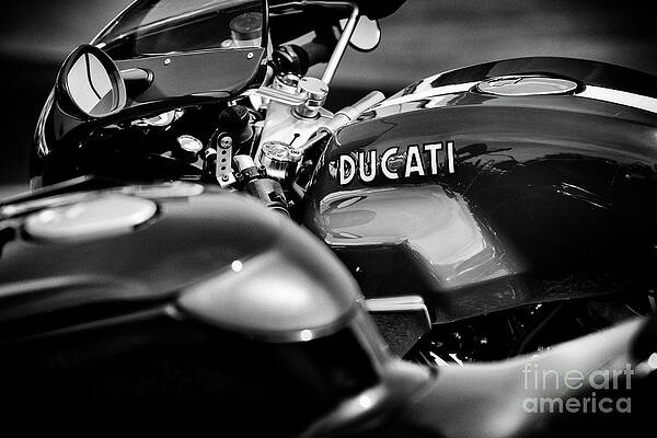 Tim Gainey Ducati Motorcycles Wall Art