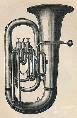 Tuba Drawings Fine Art America Tube drawing is a process to size a tube by shrinking a large diameter tube into a smaller one, by drawing the tube through a die. tuba drawings fine art america
