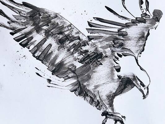 Wall Art - Drawing - Eagle 201 by Vidyarani Alursilina
