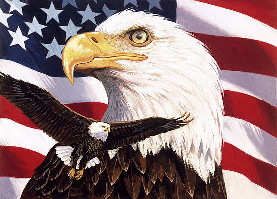 Bald Eagle American Flag Art For Sale | Fine Art America