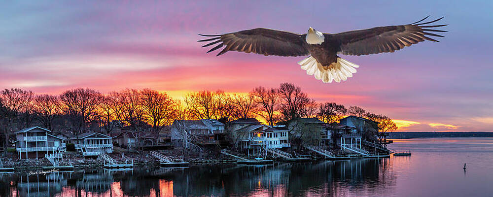 Eagle at Sunrise by David Wagenblatt Eagle at Sunrise by David Wagenblatt