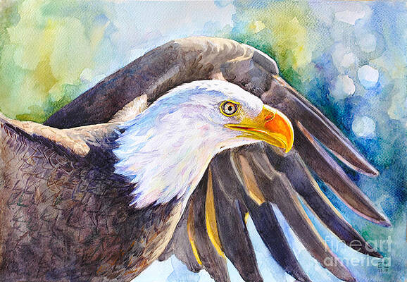 Bald Eagle Paintings Fine Art America