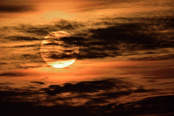 Wall Art - Photograph - Early Morning Sun In Cloudy Sky, Montier En Der, France by Loic Poidevin / Naturepl.com