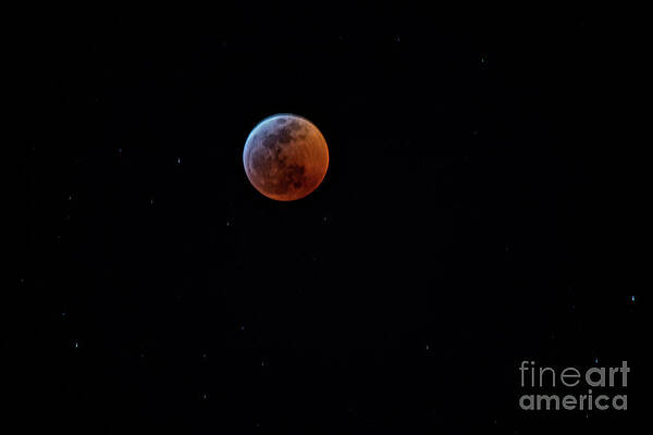 Wall Art - Photograph - Eclipse by Mark Jackson