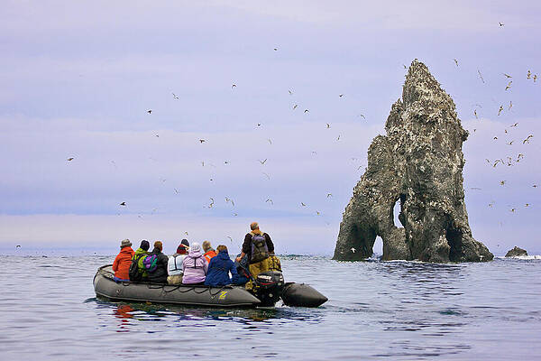 Wall Art - Photograph - Ecotourists View A Seabird Colony On Off-shore Rocks In The by Jenny E. Ross / Naturepl.com