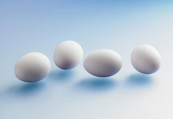 Wall Art - Photograph - Eggs by Michael Pole