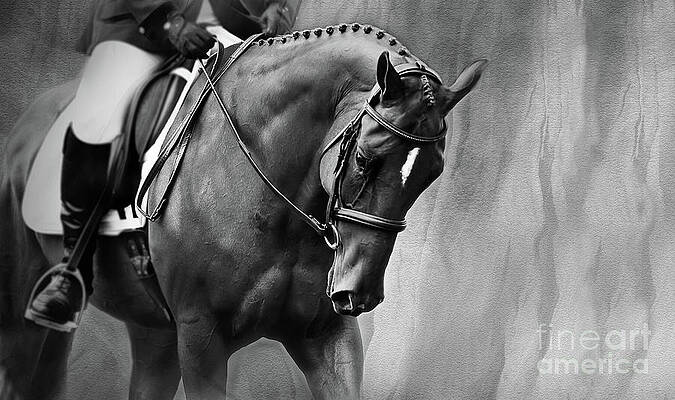 Elegance - Dressage Horse Large by Michelle Wrighton Elegance - Dressage Horse Large by Michelle Wrighton