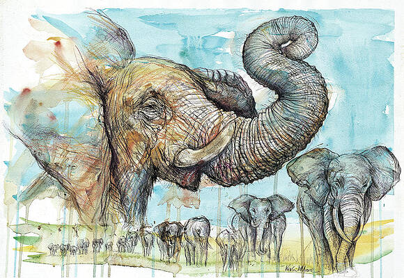 Jungle Journey Paintings Fine Art America