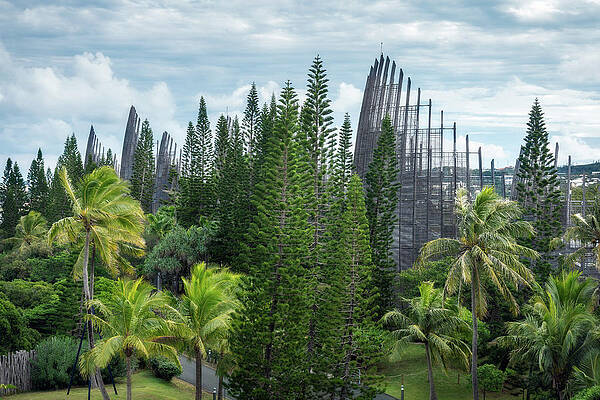 Elevated View of the Tjibaou Cultural Centre in Noumea by Daniela Constantinescu Elevated View of the Tjibaou Cultural Centre in Noumea by Daniela Constantinescu