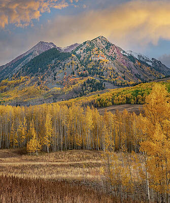 Wall Art - Photograph - Elk Mountains And Fall Aspens by Tim Fitzharris