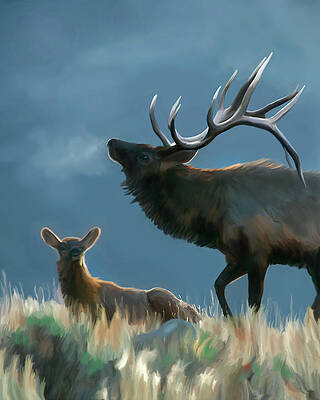Elk on an Autumn Morning by Mark Miller Elk on an Autumn Morning by Mark Miller