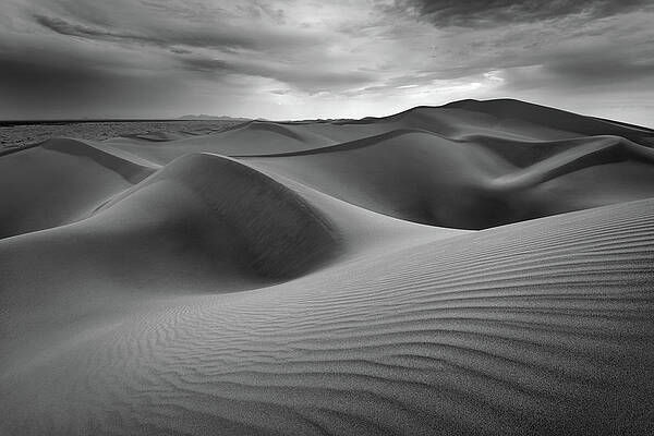 Wall Art - Photograph - Eolian Undulations by Alexander Kunz
