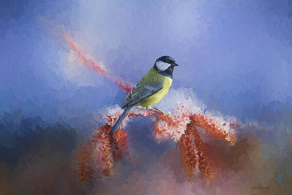 Eurasian Blue Tit Bird - Painted by Ericamaxine Price Eurasian Blue Tit Bird - Painted by Ericamaxine Price
