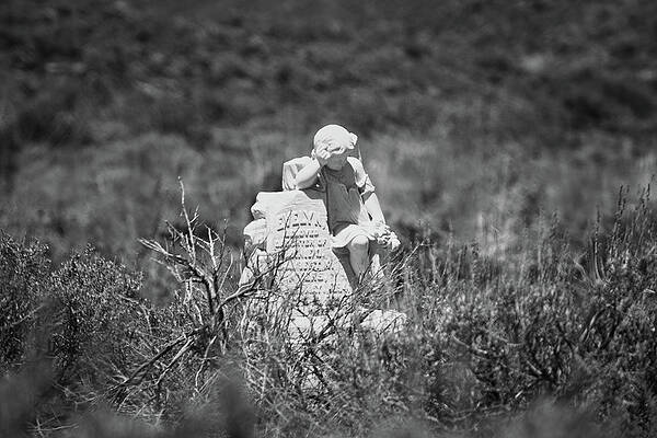 Wall Art - Photograph - Evelyn Myers by American Landscapes
