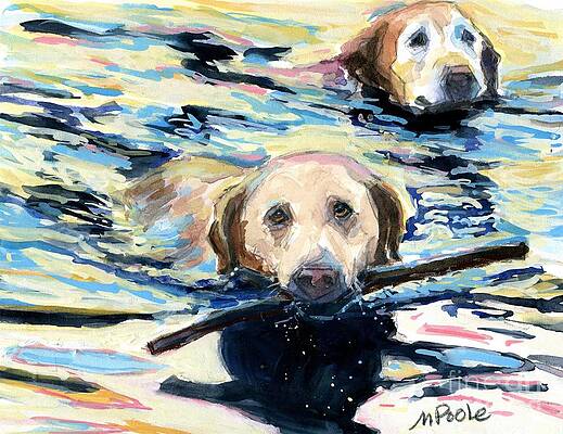 Evening Paddle by Molly Poole Evening Paddle by Molly Poole