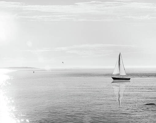 Wall Art - Painting - Evening Sail Black And White Crop by Sue Schlabach