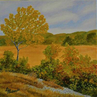 Fall Field by Lisa MacDonald Fall Field by Lisa MacDonald