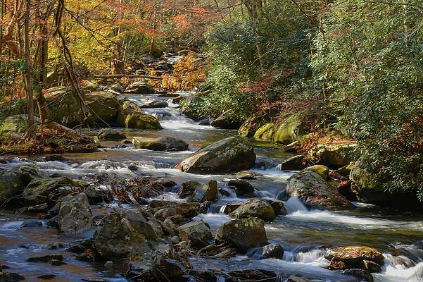 Fall in the Smokies by Lynn Phelps Fall in the Smokies by Lynn Phelps