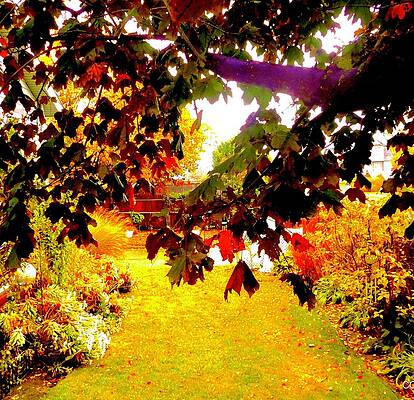 Fall Leaves Series 5 by Carol Daniel Faust Fall Leaves Series 5 by Carol Daniel Faust