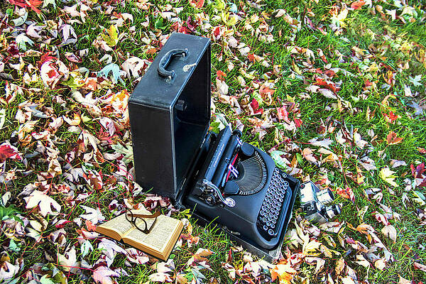 Fall Musings by Pat Cook Fall Musings by Pat Cook