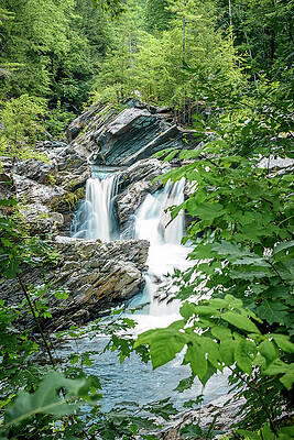 Wall Art - Photograph - Falls in the Forest by Mike Whalen