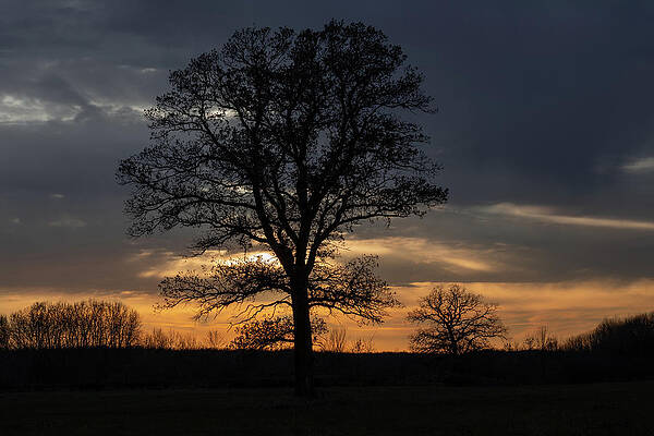 Farm Country Sunset by Jakub Sisak Farm Country Sunset by Jakub Sisak