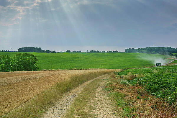 Wall Art - Photograph - Farm Track Running Between Fields Of Harvested Wheat And by Pascal Tordeux / Naturepl.com