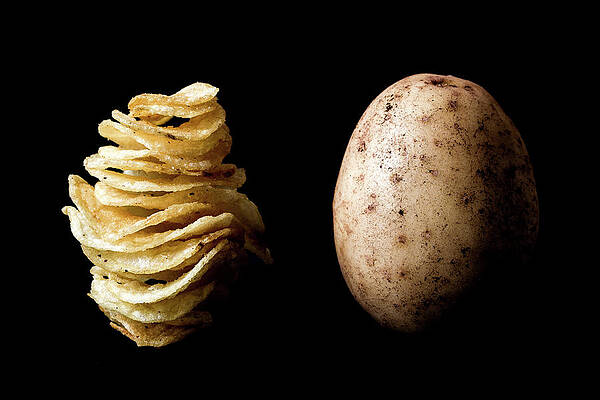  Photograph - Fat Stacks by Colin Judge