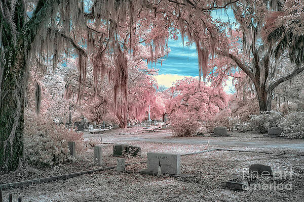 Wall Art - Photograph - Faux color cemetery by Izet Kapetanovic