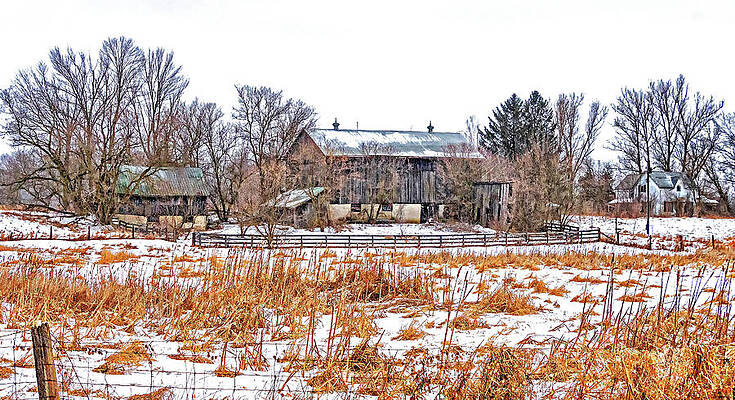 February Farm by Steve Harrington February Farm by Steve Harrington