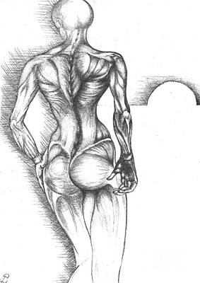 Female Back Study by Drew Female Back Study by Drew