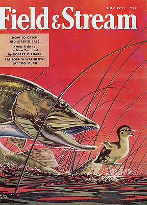 Wall Art - Painting - Field & Stream Magazine Cover July 1955 by Field & Stream