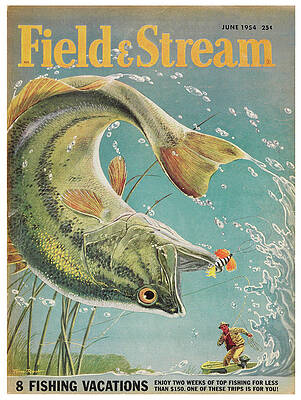 Wall Art - Painting - Field & Stream Magazine Cover June 1954 by Field & Stream