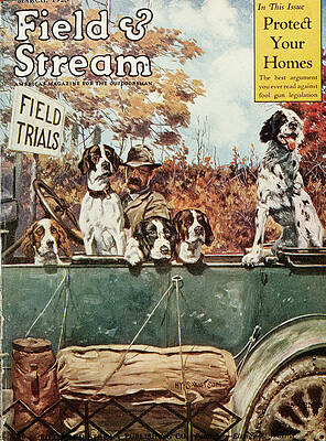 Curated Collection - Field and Stream Magazine Covers Wall Art for