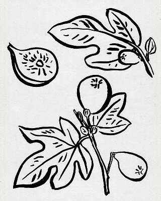 Fig Leaf Paintings Fine Art America