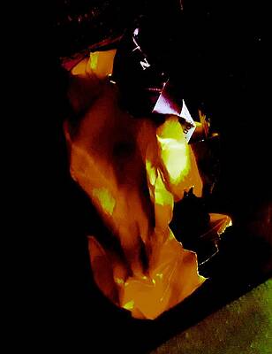 Firebrand by Shirley Jacobsen Firebrand by Shirley Jacobsen