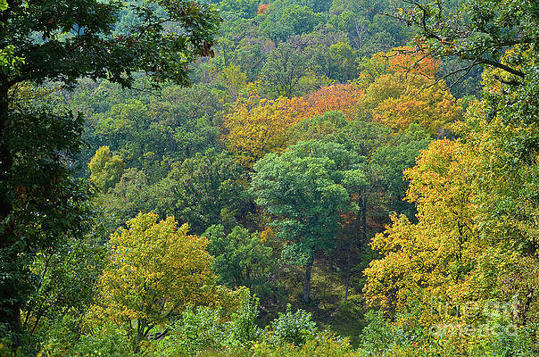 First Glimpse of Fall by Deb Halloran First Glimpse of Fall by Deb Halloran