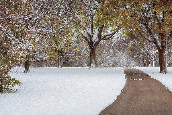 First Snow Day by Kim Hojnacki First Snow Day by Kim Hojnacki