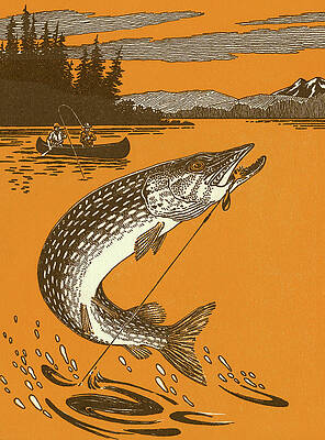 Fishing Hook Drawings for Sale - Fine Art America