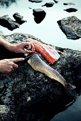 Wall Art - Photograph - Fisherman Cleans Fish On A Rock In The River by Cavan Images