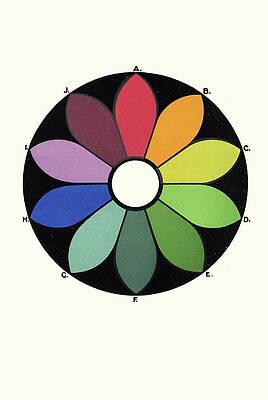 Wall Art - Painting - Five Pairs Of Complementary Colours Forming A Chromatic by James Ward