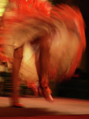 Flamenco Dress Print by Photo, David Curtis