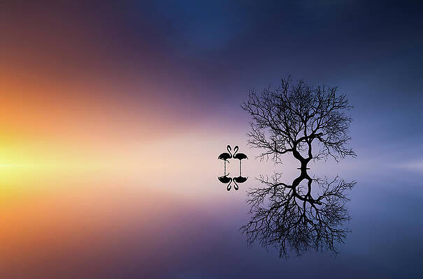 Wall Art - Photograph - Flamingos In A Lake With A Tree by Bess Hamiti