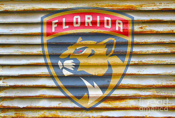 Florida Panthers Posters for Sale - Fine Art America