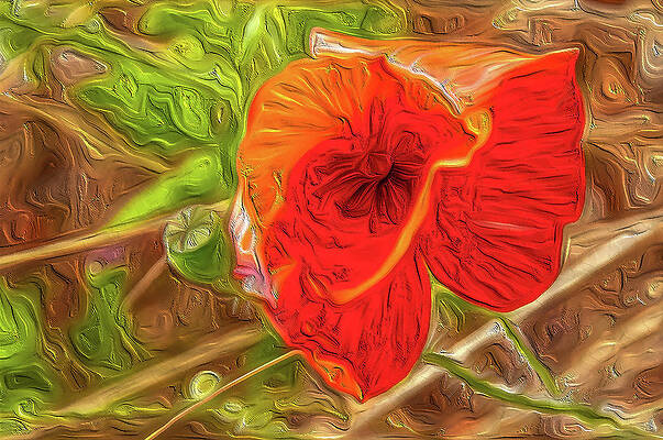 Flower Abstract Impression #01 by Dimitris Sivyllis Flower Abstract Impression #01 by Dimitris Sivyllis