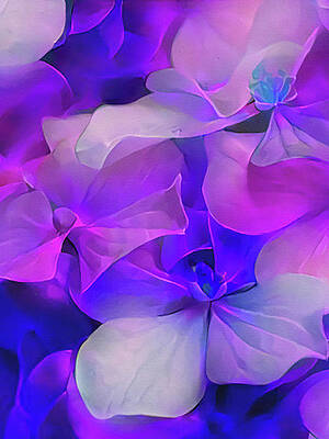Flower Fantasy - Hydrangea by Klara Acel Flower Fantasy - Hydrangea by Klara Acel
